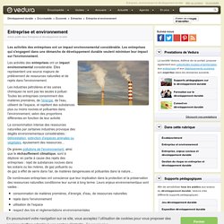 Entreprise et environnement