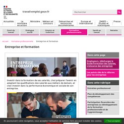 Entreprise et formation - Ministère du Travail, de l'Emploi et de l'Insertion