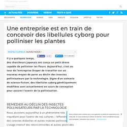 Une entreprise est en train de concevoir des libellules cyborg pour polliniser les plantes