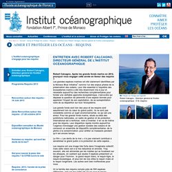 Entretien avec Robert Calcagno, directeur général de l'Institut océanographique - Institut océanographique - Fondation Albert Ier, Prince de Monaco
