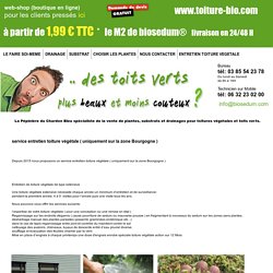 entretien des toitures vegetales en Bourgogne