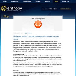 Entropy IT - Software Development & Web Design Studio