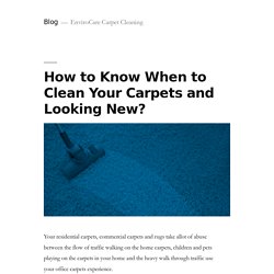 Blog - EnviroCare Carpet Cleaning