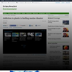 Environment | Addiction to plastic is fuelling marine disaster