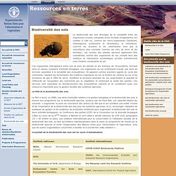 Natural Resources and Environment: Biodiversité des sols