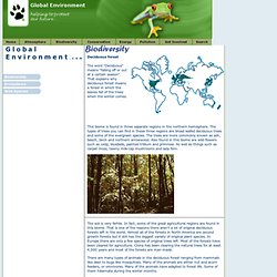 Global Environment - Biodiversity - Decidious Forest Biome