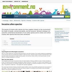 State of the Environment Norway : Invasive alien species