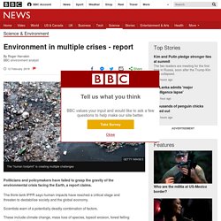 Environment in multiple crises - report