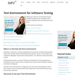 Test Environment for Software Testing
