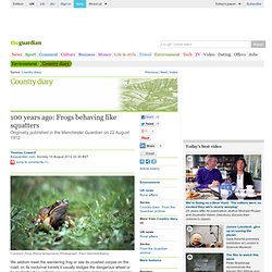 100 years ago: Frogs behaving like squatters