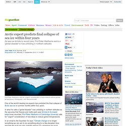 Recovered Arctic expert predicts final collapse of sea ice withi