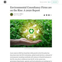 Environmental Consultancy Firms are on the Rise: A 2020 Report