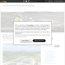 Effluent And Wastewater Disposal: How It Can Be Harmful To You And How You Can Deal With This Problem?
