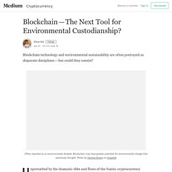 Blockchain — The Next Tool for Environmental Custodianship?