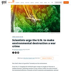 Scientists urge the U.N. to make environmental destruction a war crime