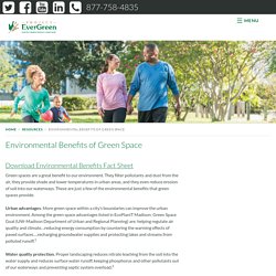 Environmental Benefits of Green Space – Project Evergreen