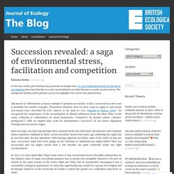 Succession revealed: a saga of environmental stress, facilitation and competition