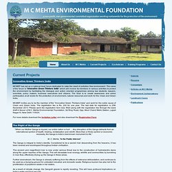 MC Mehta Environmental Foundation - à but non lucratif, organisation non gouvernementale et très engagée de travail national pour la protection de l'environnement