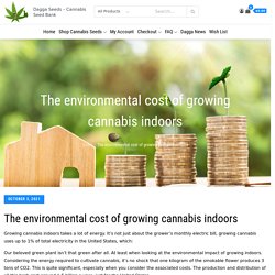 The environmental cost of growing cannabis indoors -