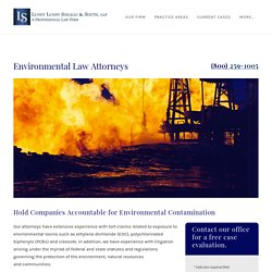 Environmental Law Litigation Attorneys - Lake Charles, La