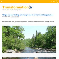 “Bright words:” finding common ground in environmental negotiations