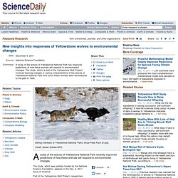 New insights into responses of Yellowstone wolves to environmental changes