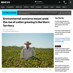 Environmental concerns mount amid the rise of cotton growing in Northern Territory