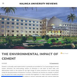 THE ENVIRONMENTAL IMPACT OF CEMENT - KALINGA UNIVERSITY REVIEWS