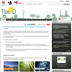 Cluster TWEED, Technologie Wallonne Energie - Environnement et Développement durable