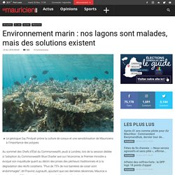 Environnement marin : nos lagons sont malades, mais des solutions existent