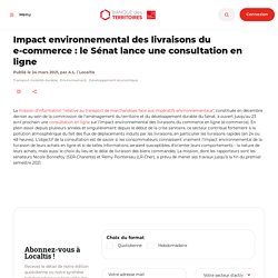 Impact environnemental des livraisons du e-commerce : le Sénat lance une consultation en ligne