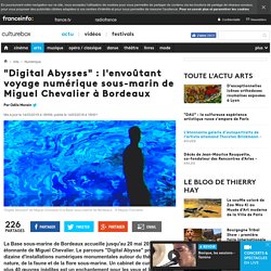 Miguel Chevalier (1959-). "Digital Abysses". 2018. Installation numérique .