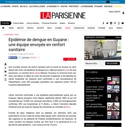 Epidémie de dengue en Guyane : une équipe envoyée en renfort sanitaire - La Parisienne