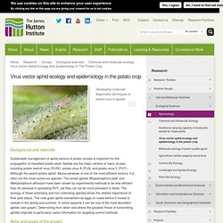 JAMES HUTTON INSTITUTE - Virus vector aphid ecology and epidemiology in the potato crop.