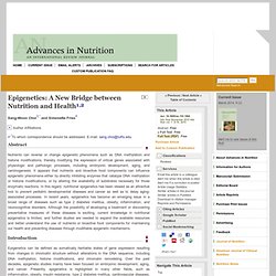 Epigenetics: A New Bridge between Nutrition and Health