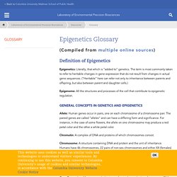 Epigenetics Glossary