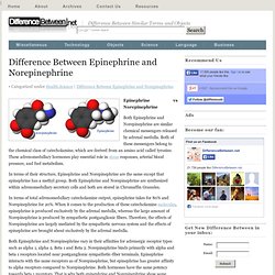 Difference Between Epinephrine and Norepinephrine