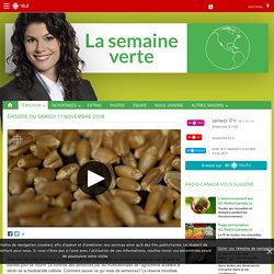 RADIO CANADA 17/11/18 (reportage de 43 minutes) LA SEMAINE VERTE - Encore aujourd'hui, l'essentiel de notre alimentation provient d'une semence. Mais leur diversité diminue à un rythme alarmant. L'humanité ne compte plus que sur une dizaine de plantes pou