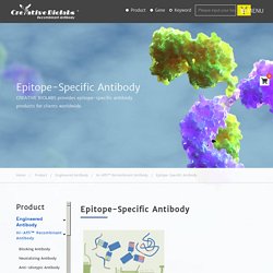 Epitope-Specific Antibody