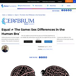 Equal ≠ The Same: Sex Differences in the Human Brain