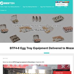 BTF4-8 Egg Tray Equipment Delivered to Mozambique - Beston Group