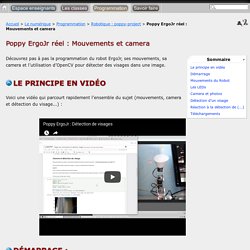 Poppy ErgoJr réel : Mouvements et camera - Tableaux Maths