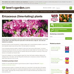 Ericaceous (lime-hating) plants