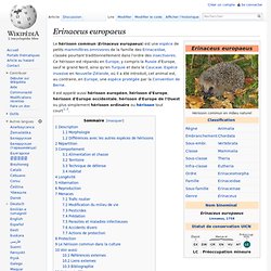 Erinaceus europaeus