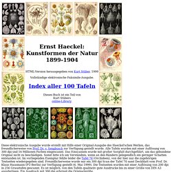 Ernst Haeckel: Kunstformen der Natur