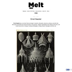 Ernst Haeckel - MELT