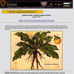 Online Books : "Golden Guide Hallucinogenic Plants" - pg 51-60 - StumbleUpon