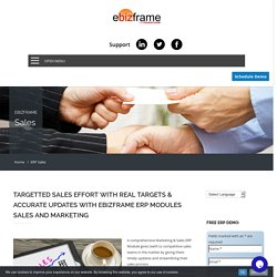 ERP Sales - ebizframe ERP