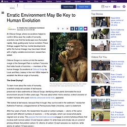 Erratic Environment May Be Key to Human Evolution