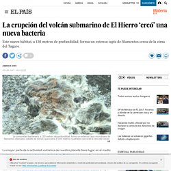 La erupción del volcán submarino de El Hierro ‘creó’ una nueva bacteria